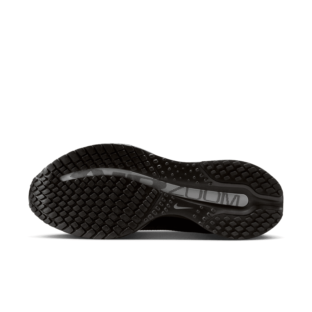 Wmns Nike Pegasus Premium